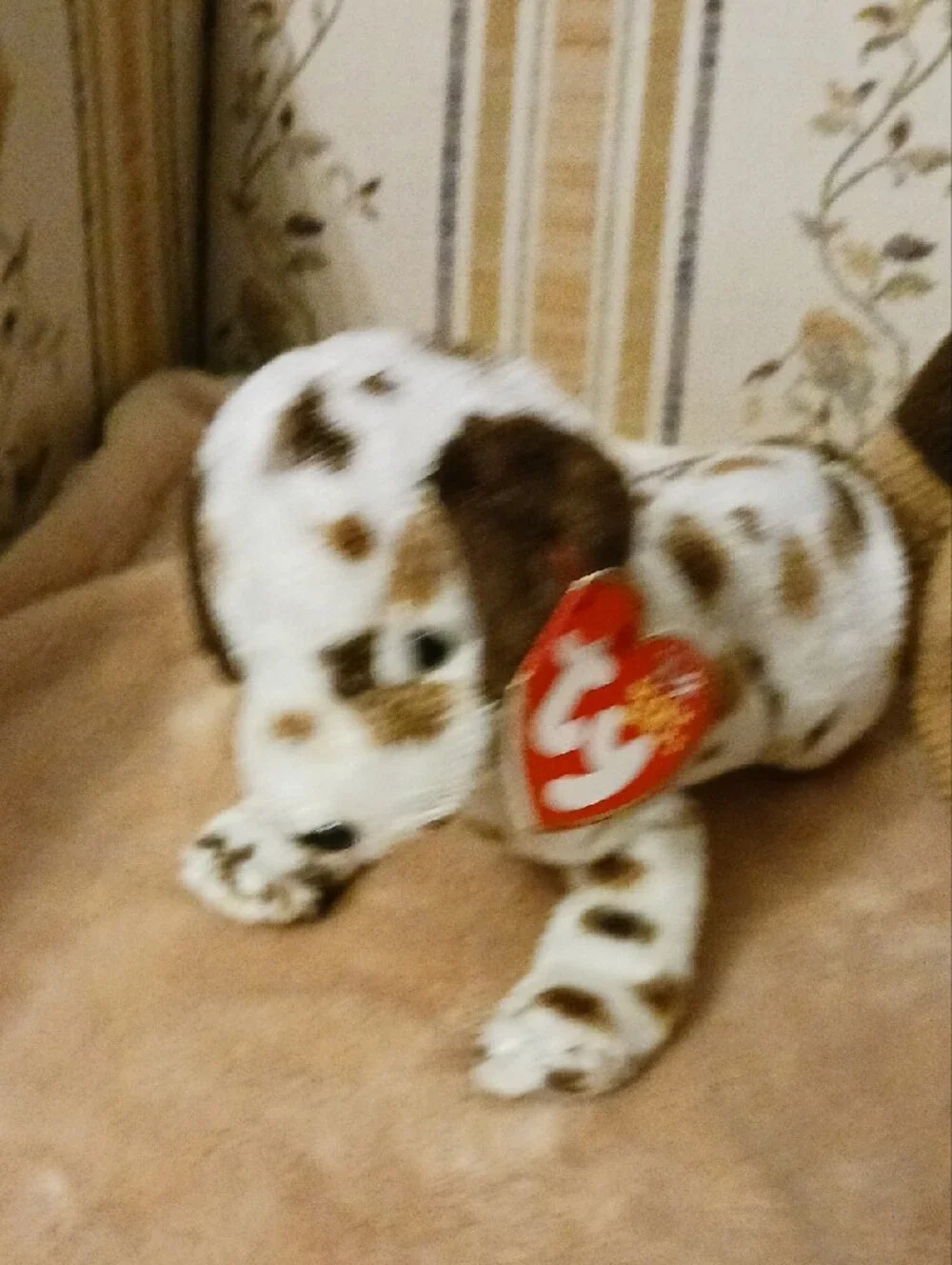 Ty Plush Dog Trio - Brown, White with Brown Spots, Leopard Print